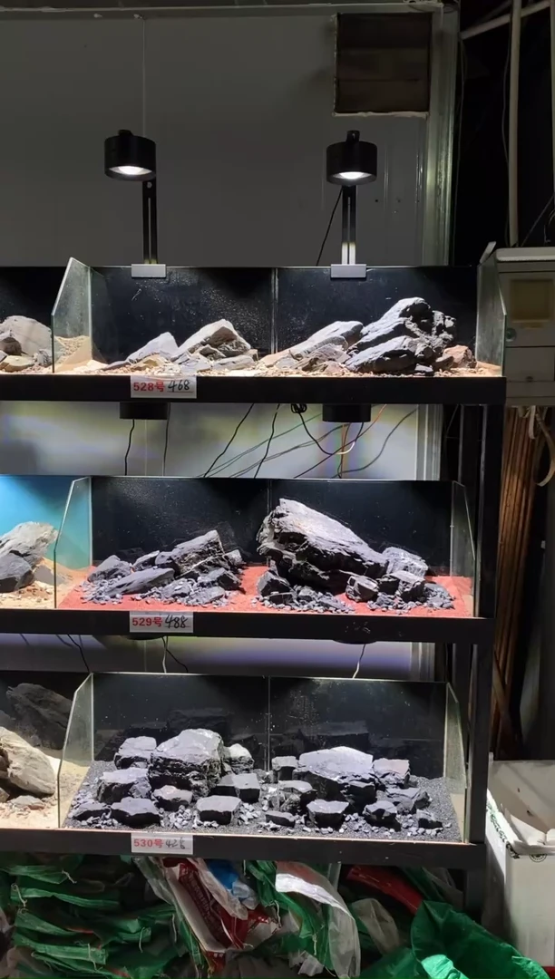 529号鱼缸造景（不含底砂）