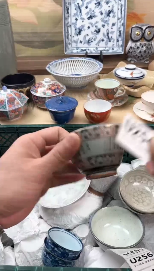 瓷片草*254