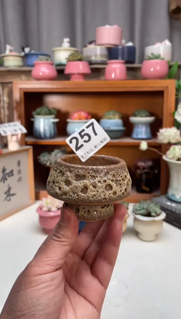 瓷片257小芳花盆直播编号