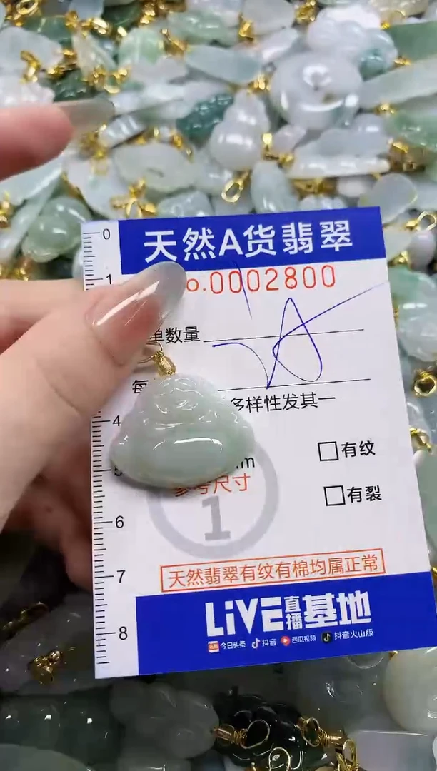 颈饰未镶嵌翡翠天然A货翡翠