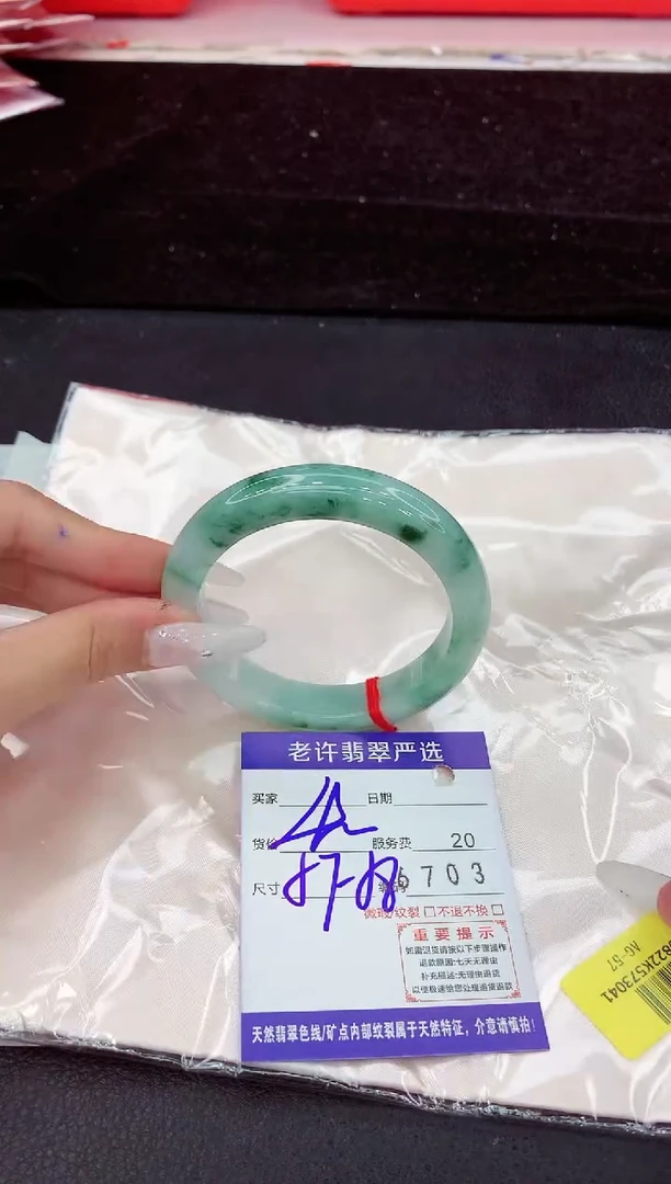 未镶嵌手镯翡翠1