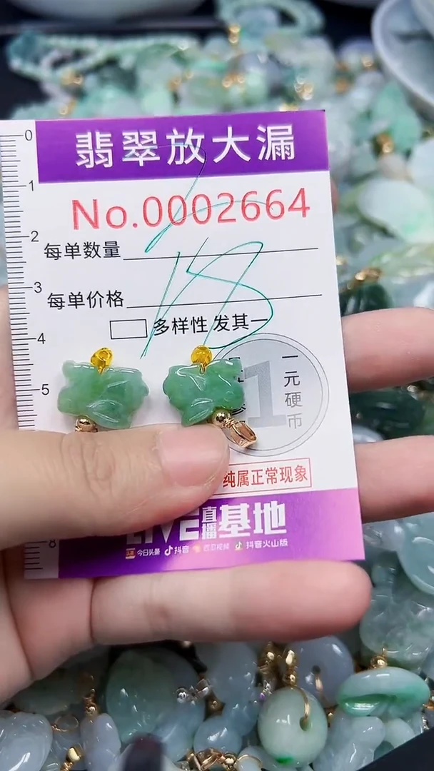 颈饰未镶嵌翡翠2664