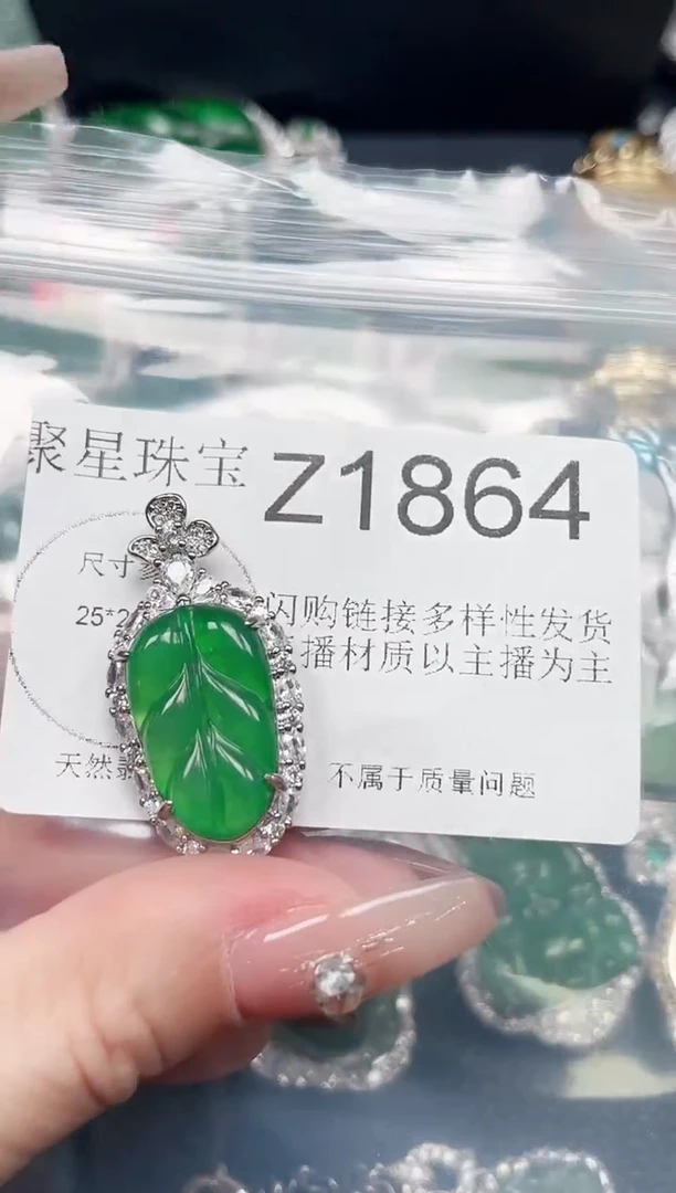 【闪购商品】翡翠颈饰未镶嵌赠皮绳1864
