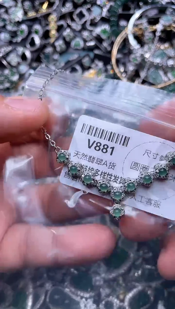 【闪购商品】翡翠颈饰未镶嵌V881项链