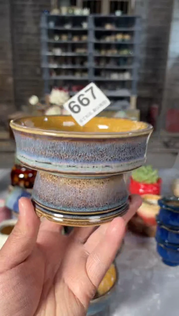 瓷片667小芳直播编号