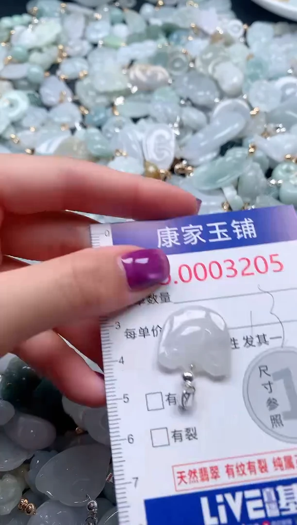 颈饰未镶嵌翡翠3205