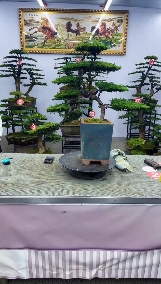 【闪购商品】一物一拍，所见即所得一物一拍，所见即所得