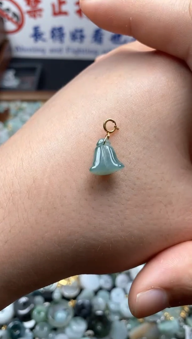 【闪购商品】翡翠颈饰未镶嵌非凡