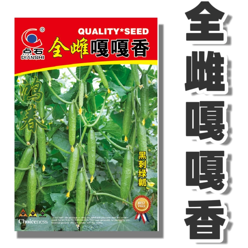 点石【全雌嘎嘎香】黄瓜种子