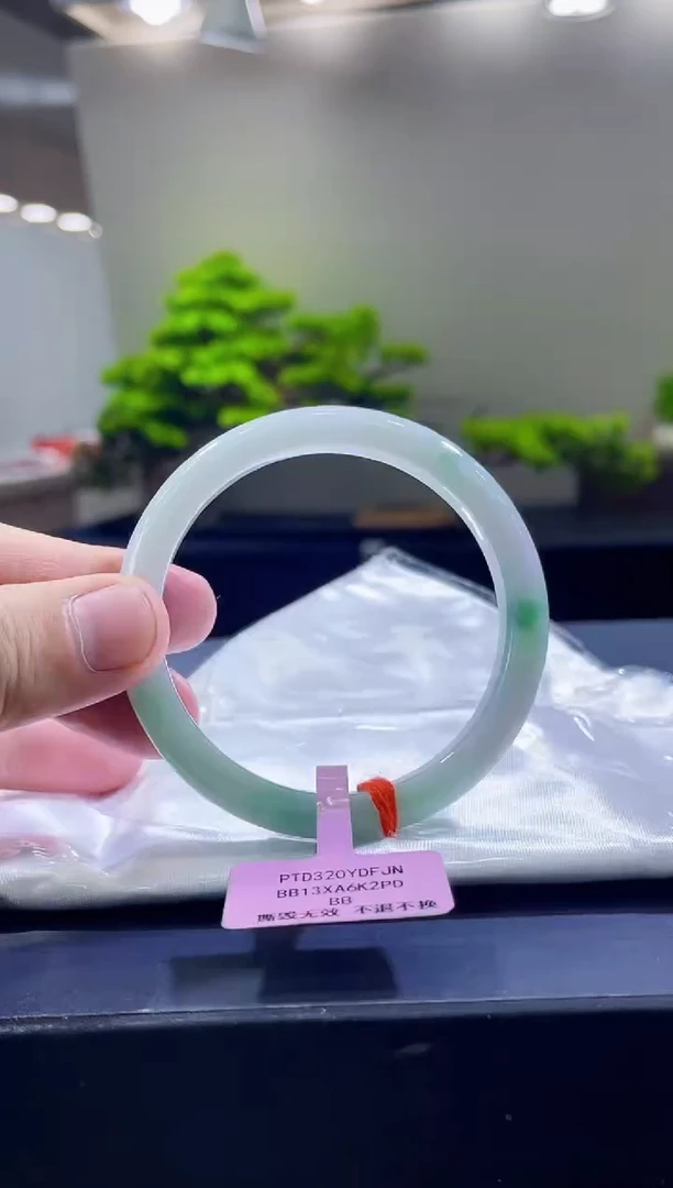 未镶嵌手镯翡翠9