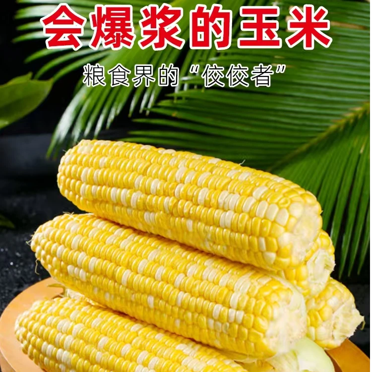新鲜玉米，水果玉米它来了，五根装带皮发货，京东顺丰包邮到家水果玉米北京市