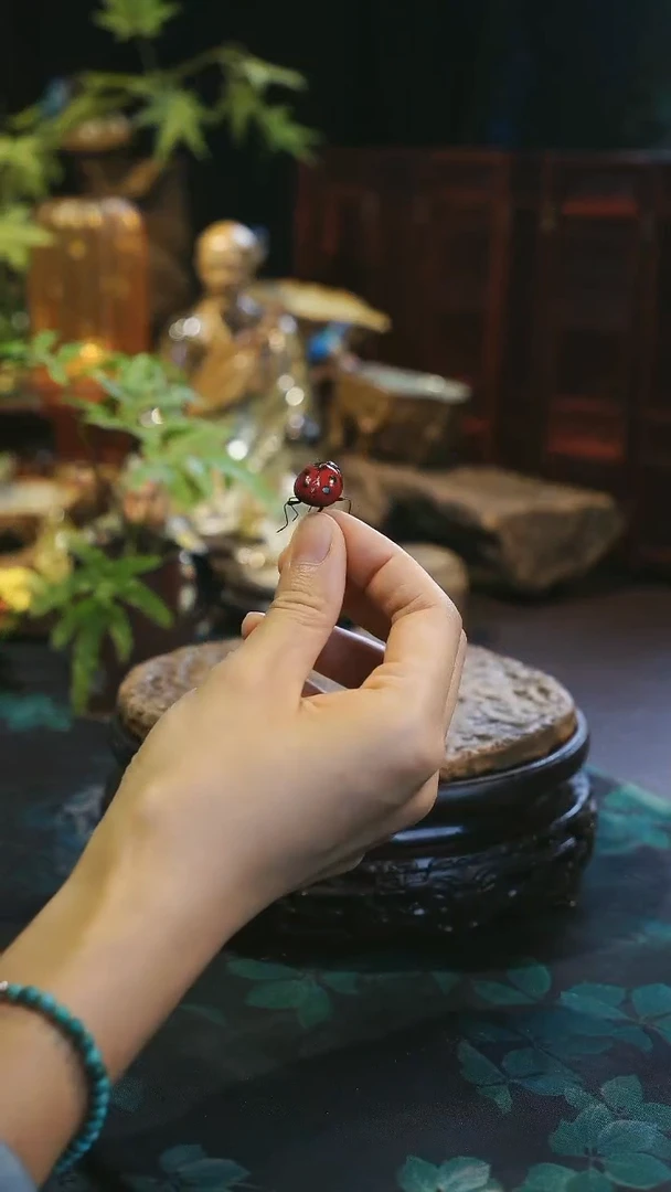 2222222222222226666666666666