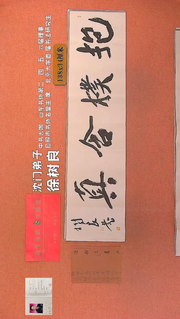 【闪购商品】书法17    徐树良老师作品