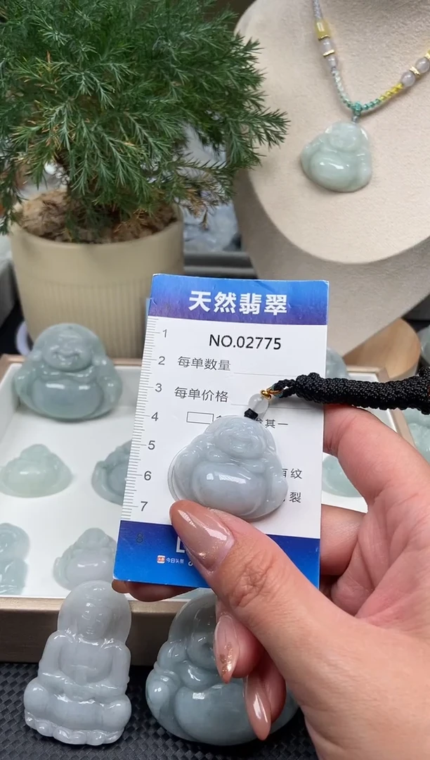 颈饰未镶嵌翡翠纯天然A货翡翠2775