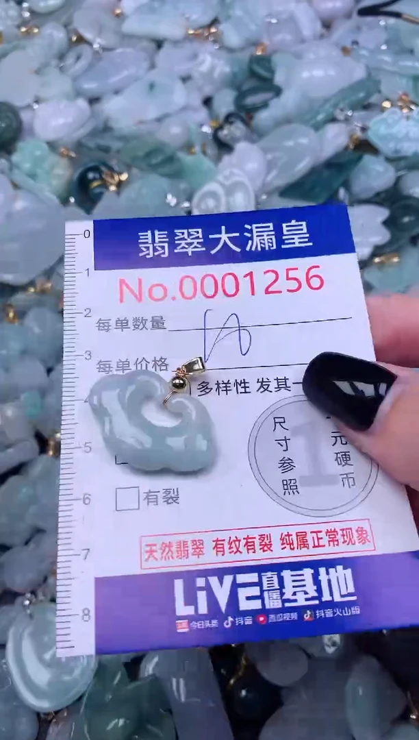 颈饰未镶嵌翡翠1256