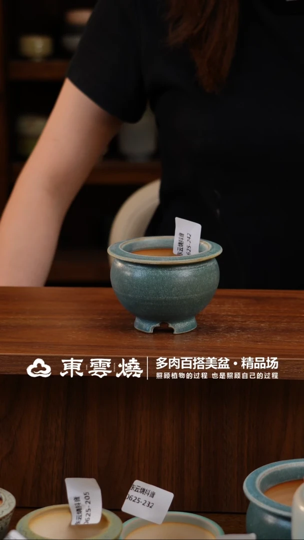 0625-242A顶冠 幻境内口6