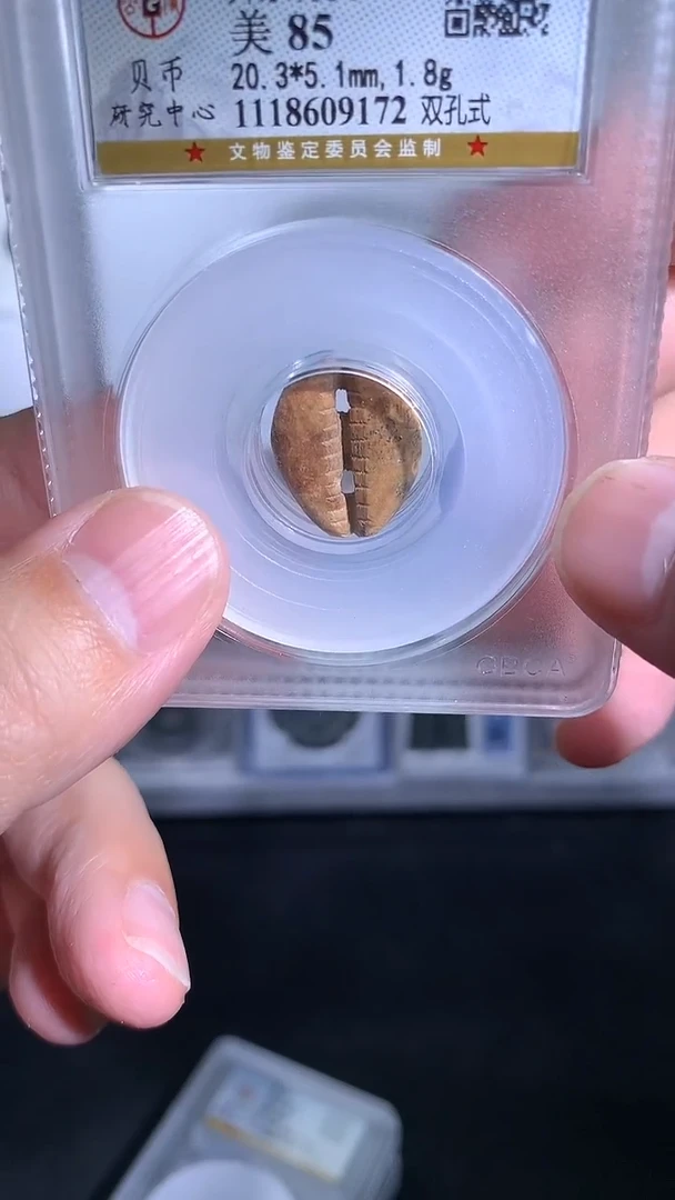 铜御泉收藏骨bei币一枚
