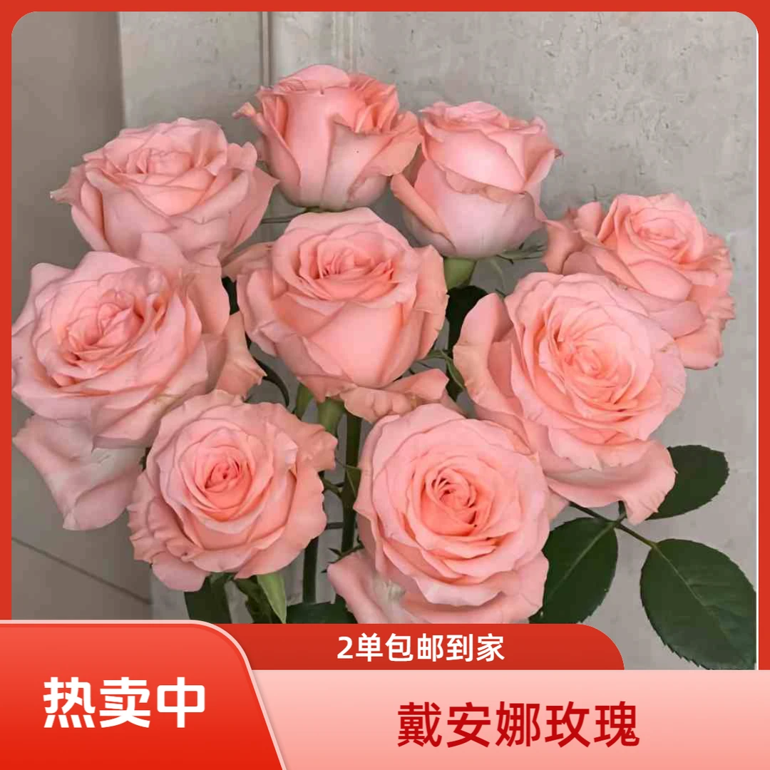 家居插花{10支戴安娜粉玫瑰}任意俩单包邮今天下单明天到