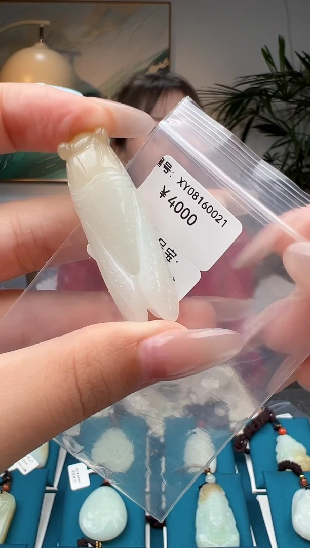 颈饰未镶嵌和田玉吊坠 XY