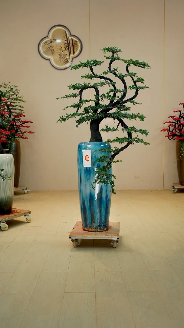 以实际为准一****记广东小叶紫檀落地高端盆景绿植室内外四季常青
