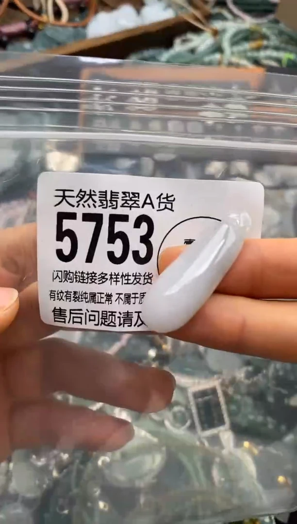 翡翠未镶嵌颈饰翡翠5753