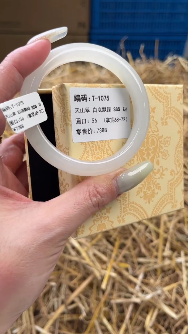 未镶嵌手镯石英质玉T-1075