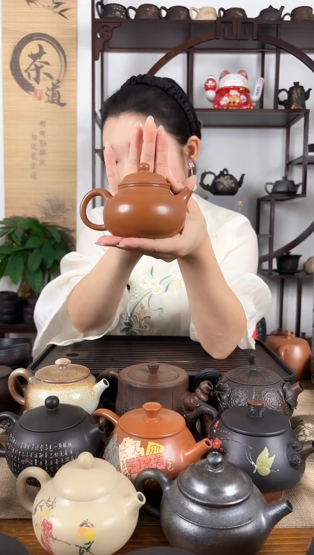 壶网孔 复烧  建水紫陶