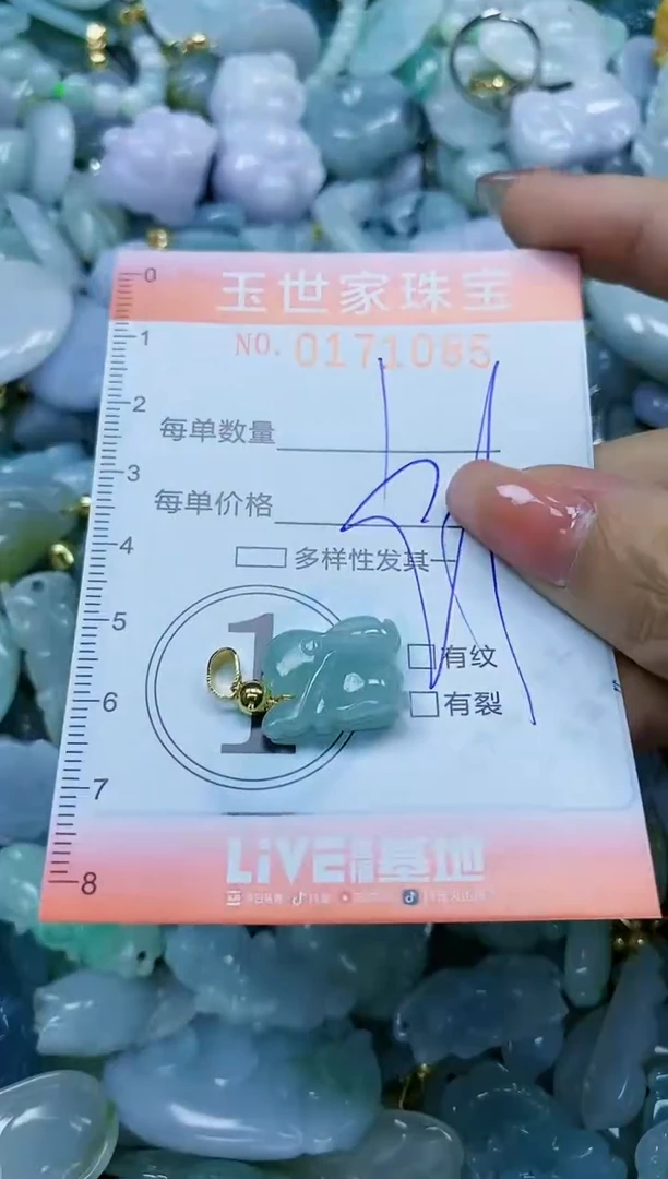 【闪购商品】翡翠颈饰未镶嵌闪购0171085