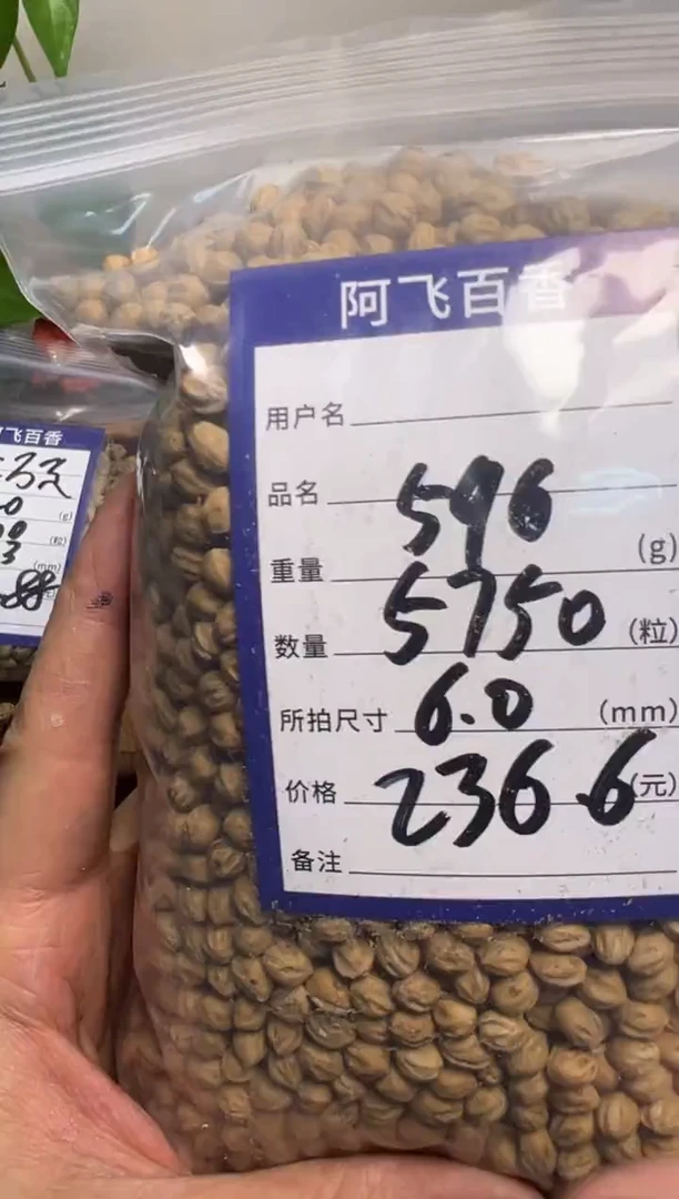 【闪购商品】柏香籽/百香籽吊坠236.6