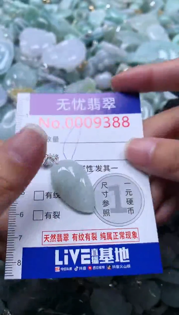 颈饰未镶嵌翡翠9388
