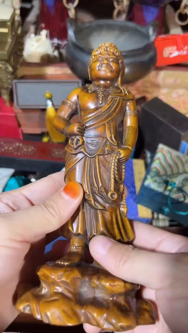 黄杨木11111111111111111