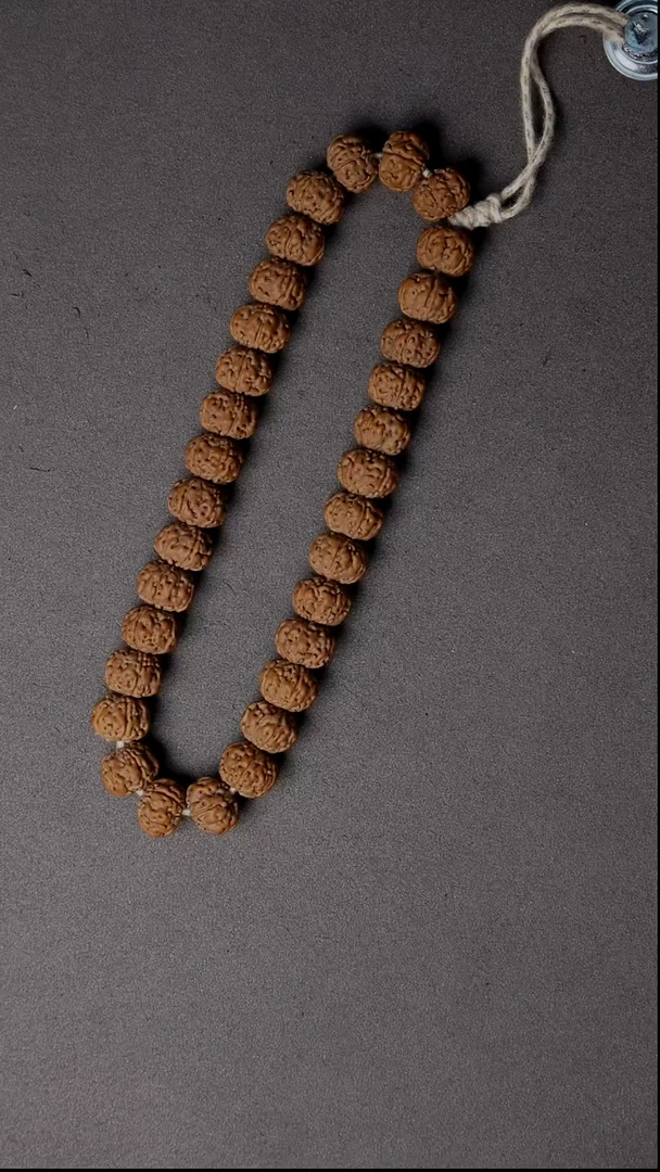【闪购商品】金刚菩提手串002 老树王单圈 11
