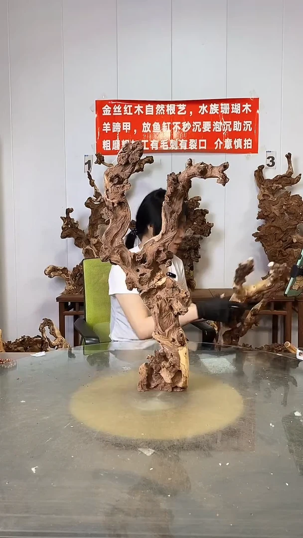 香榧木金丝红木 羊蹄甲