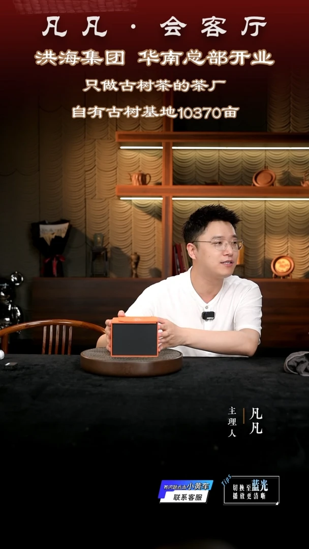 茶壶紫砂凡凡会客厅 紫砂壶11