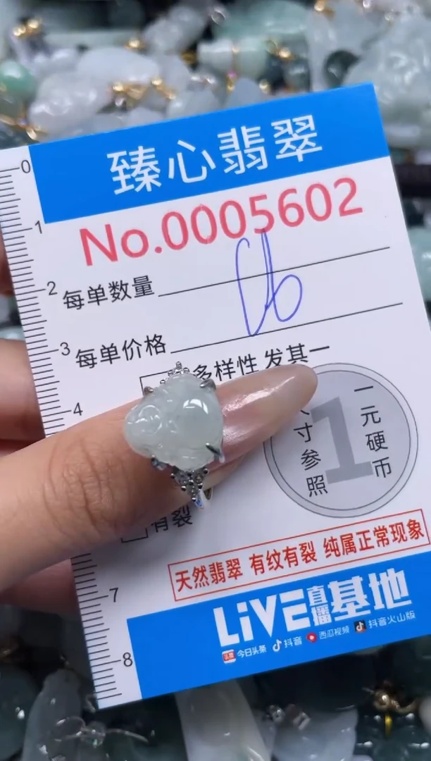 颈饰未镶嵌翡翠5602