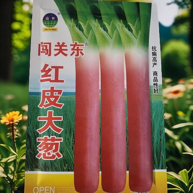 闯关东红皮大葱籽（20克）