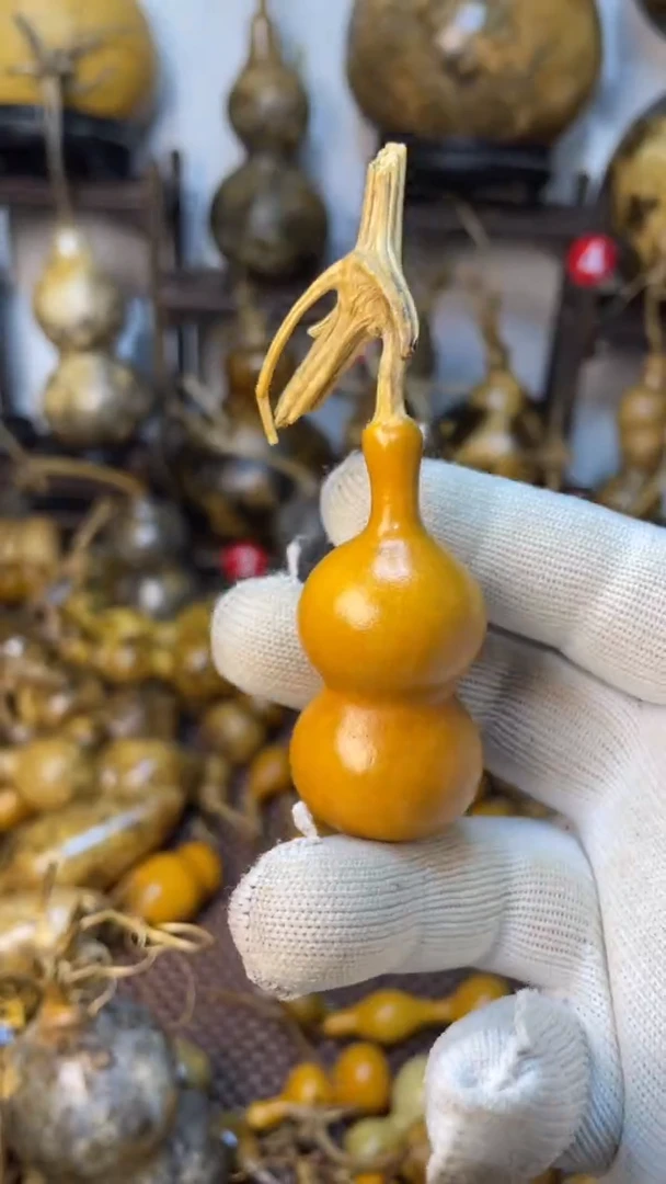 【闪购商品】葫芦葫芦葫芦葫芦