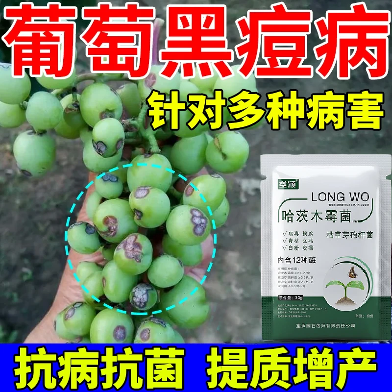 葡萄黑痘病专用水溶肥料霉霜病白粉病褐斑果腐葡萄专用微生物菌剂