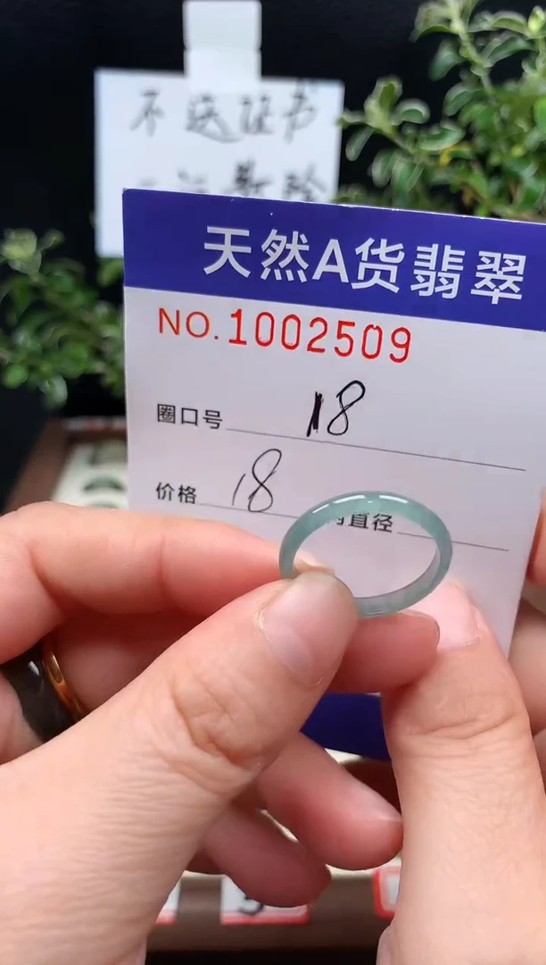 未镶嵌戒指翡翠18#