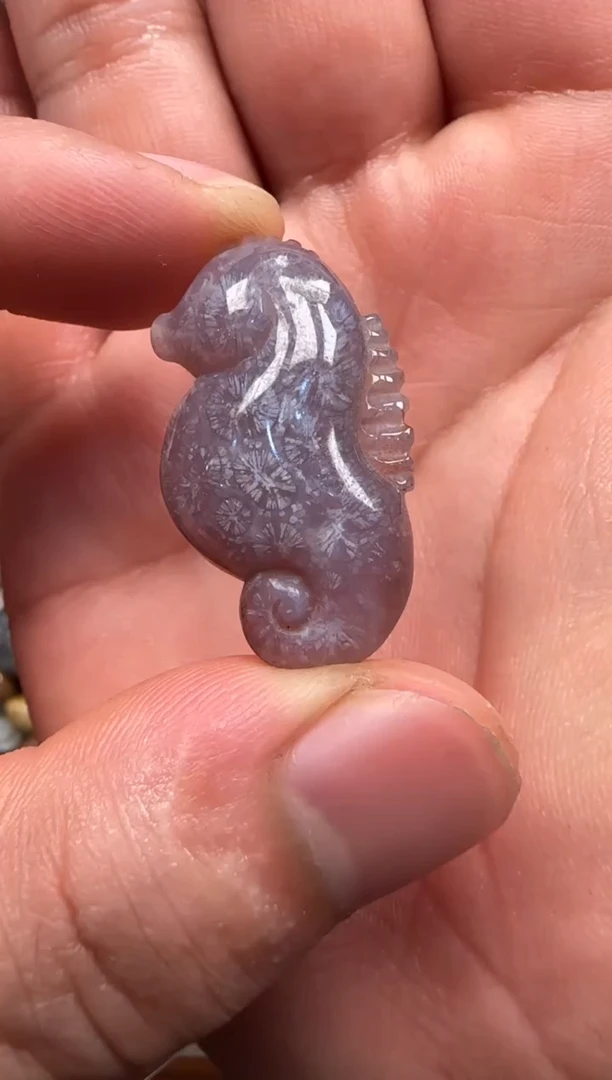 【闪购商品】硅化珊瑚（珊瑚玉）颈饰未镶嵌598