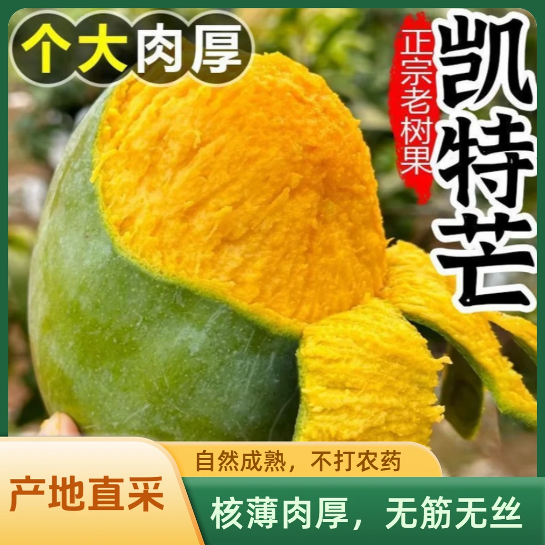 攀枝花凯特芒果整箱应当季新鲜水果特大青皮味浓包邮