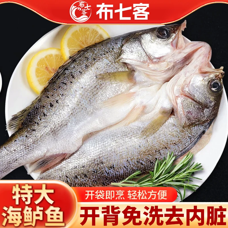 开背海鲈鱼500g-600g*3条 活鱼现杀 三去免处理去鳞去腮去内脏