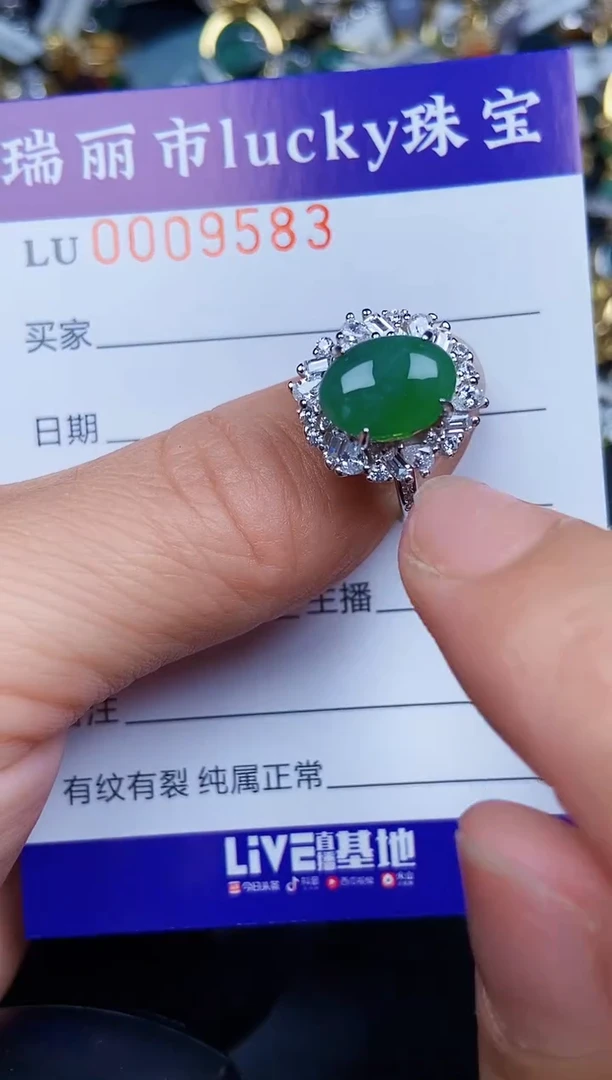 翡翠银S925镶嵌颈饰9583