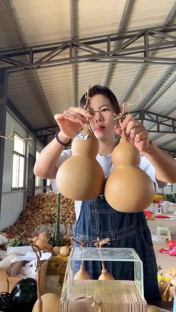 154天然葫芦摆件 一物一拍龙头不保售后