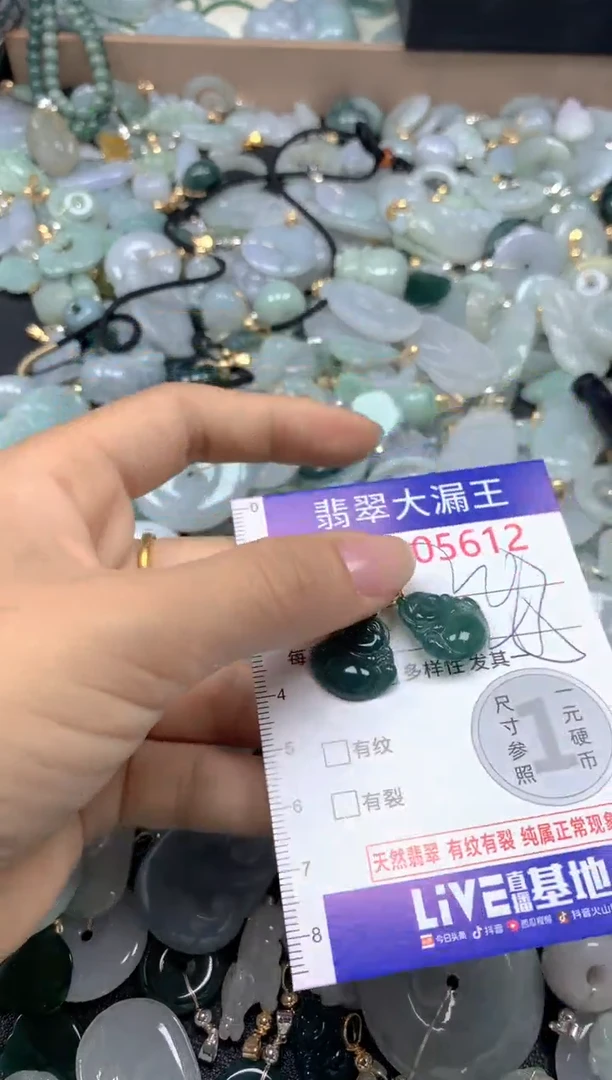 翡翠未镶嵌吊坠(不含链)5612