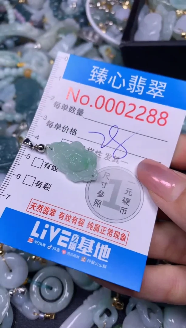 【闪购商品】翡翠颈饰未镶嵌含绳0002288