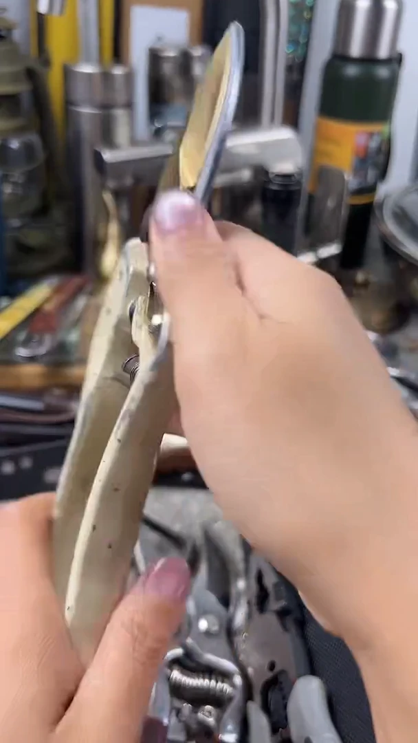 瓷片瓷片东京很热杂货正品保证