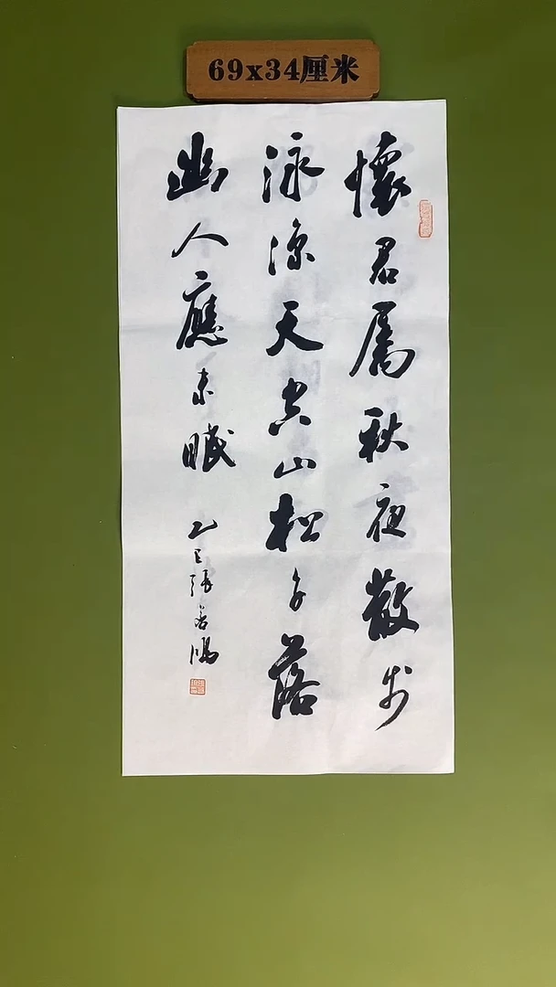 书法书法 张若鸿 尺寸69cm*34cm
