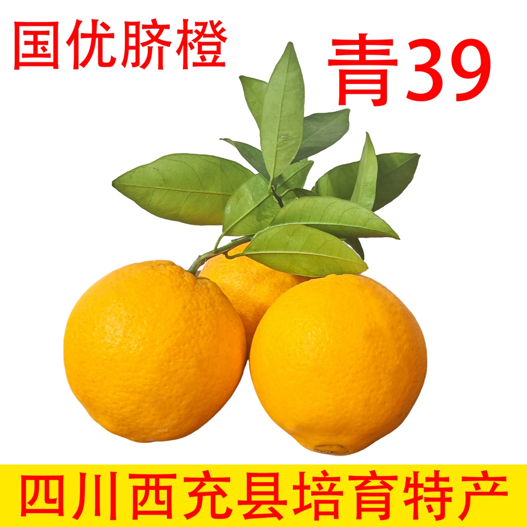 西充特产国优脐橙青39