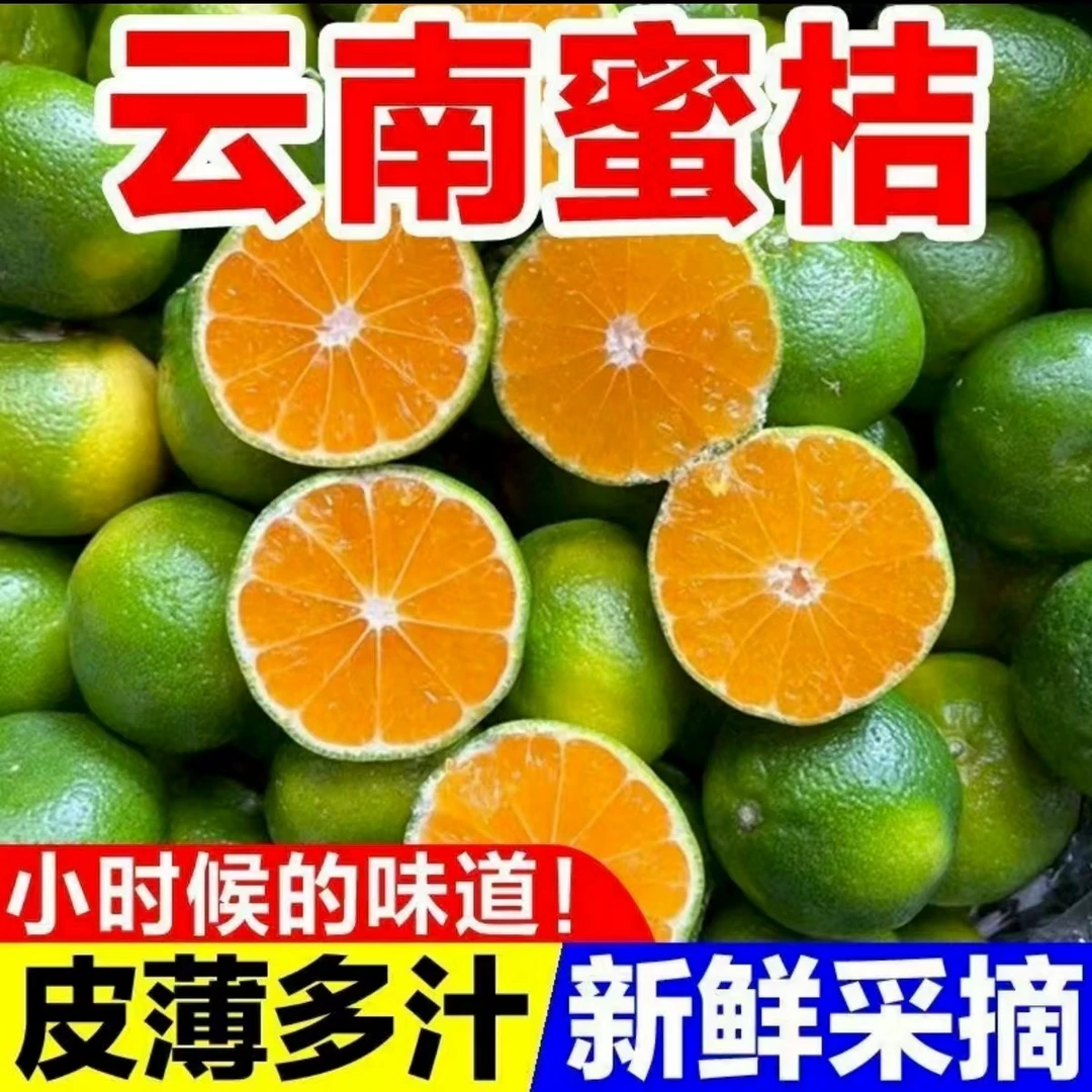 现摘云南青皮无籽蜜桔新鲜应季水果酸甜多汁适合孕妇